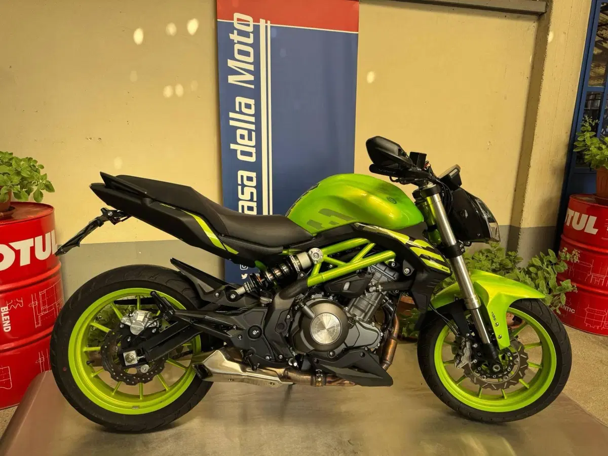 Benelli BN 302 S (2019 - 20) (2)