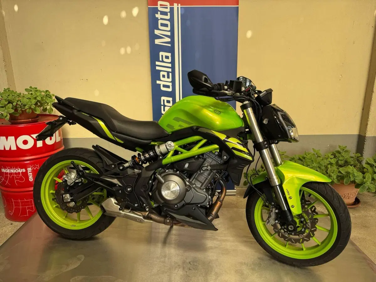 Benelli BN 302 S (2019 - 20) (3)