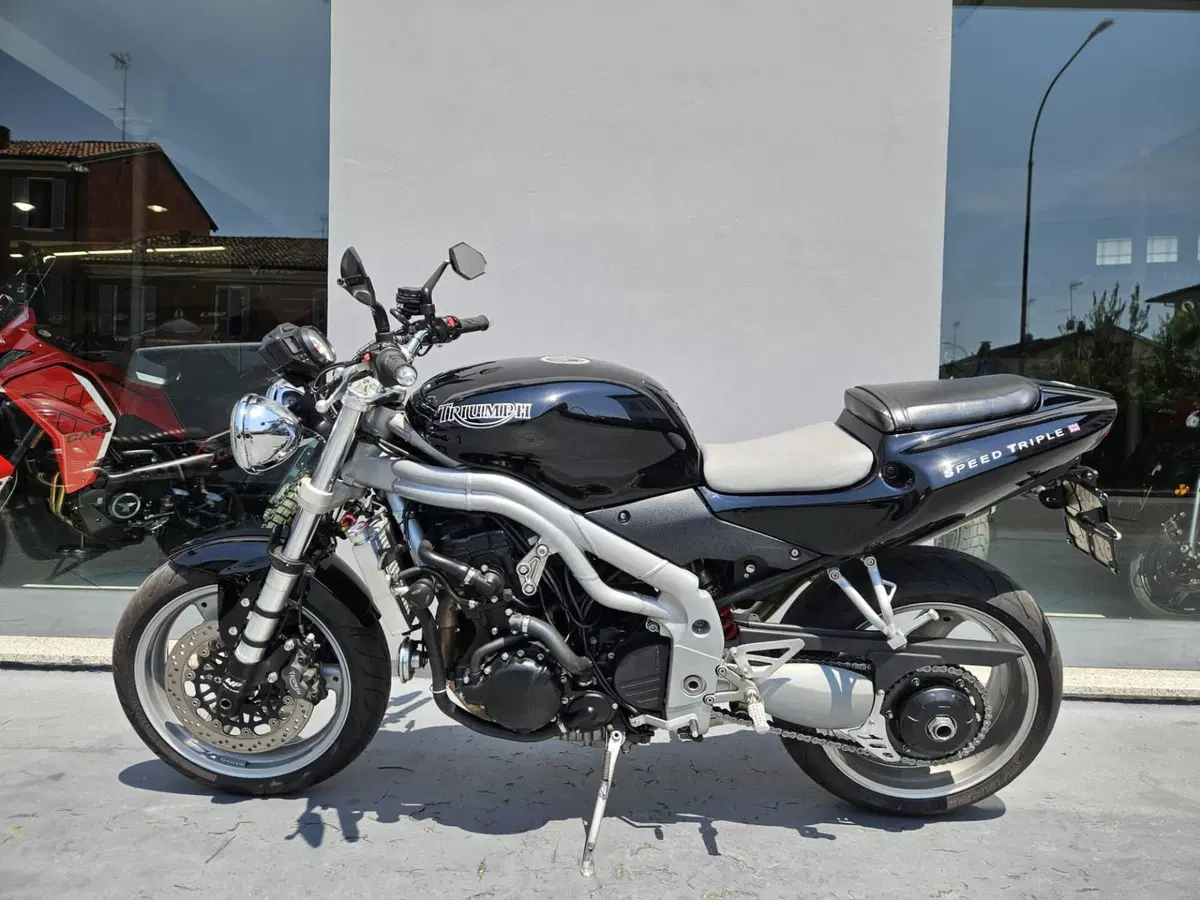 Triumph Speed Triple 955 (2002 - 04) (3)