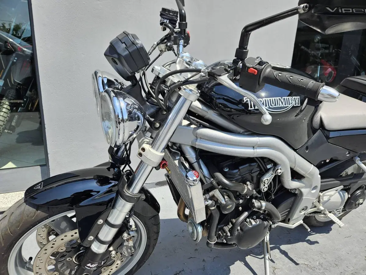 Triumph Speed Triple 955 (2002 - 04) (4)