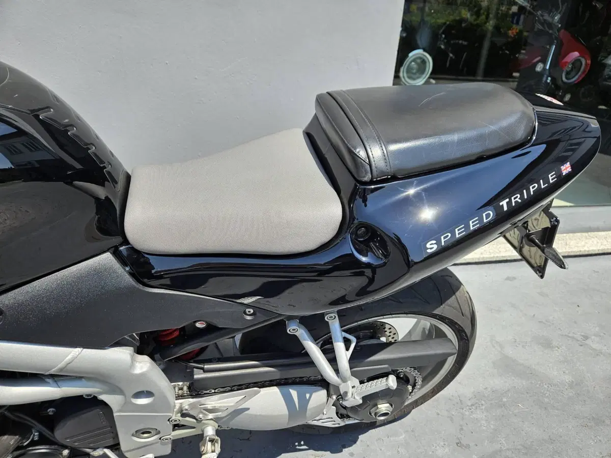 Triumph Speed Triple 955 (2002 - 04) (5)