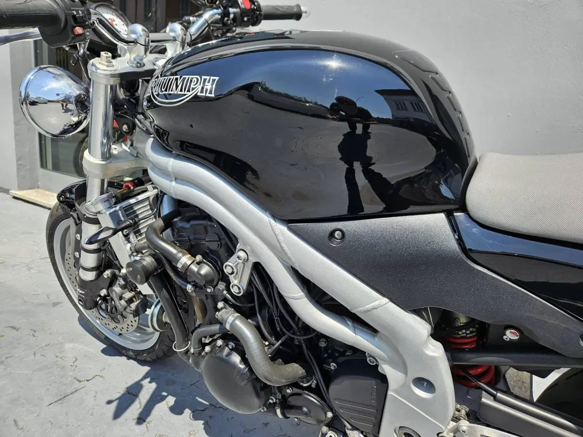 Triumph Speed Triple 955 (2002 - 04) (6)
