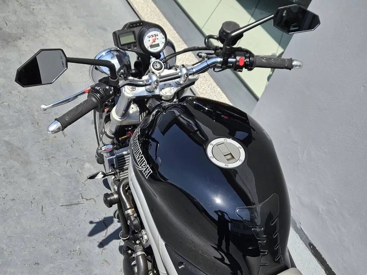 Triumph Speed Triple 955 (2002 - 04) (7)