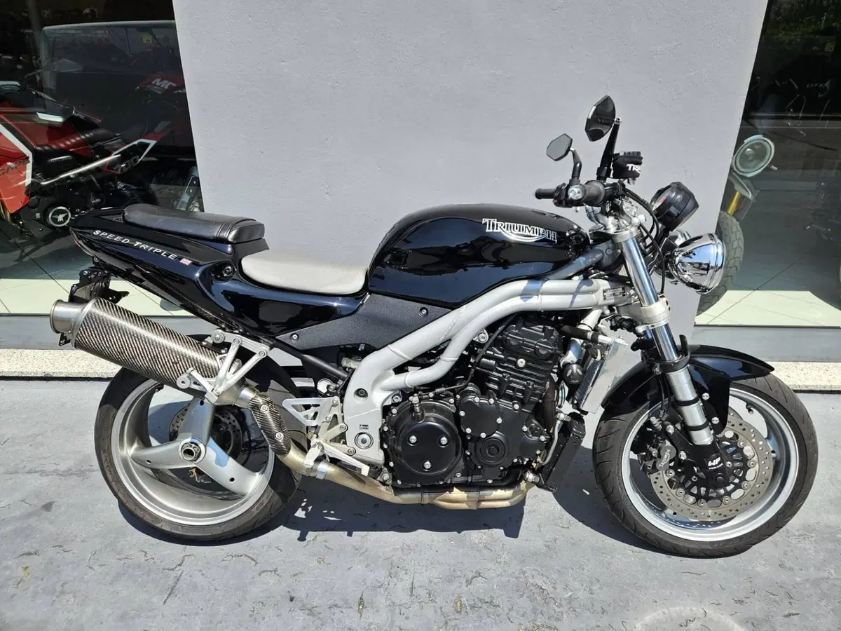 Triumph Speed Triple 955 (2002 - 04) (8)