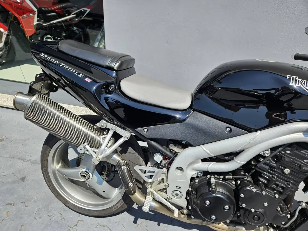 Triumph Speed Triple 955 (2002 - 04) (10)