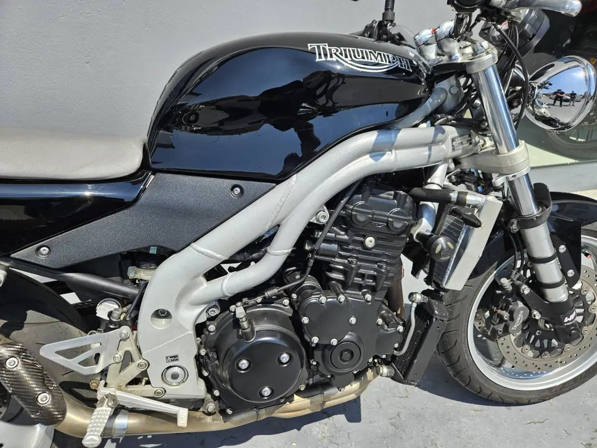 Triumph Speed Triple 955 (2002 - 04) (11)