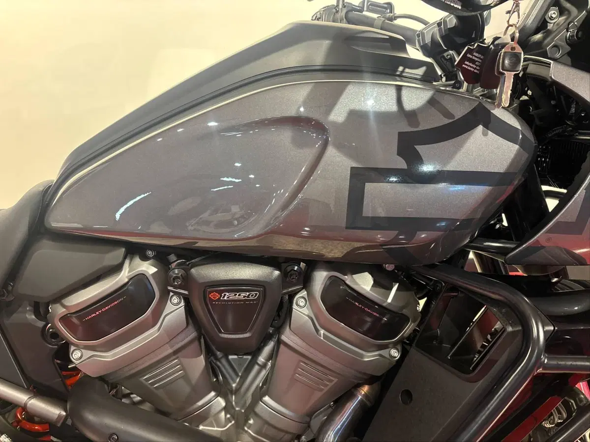 Harley-Davidson Pan America 1250 Special (2020 - 25) (2)