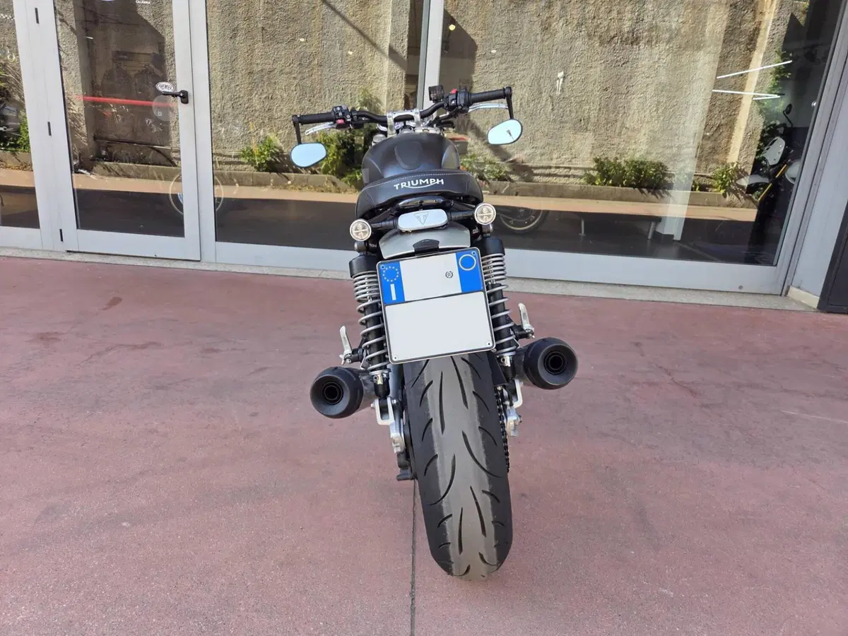 Triumph Speed Twin 1200 (2021 - 24) (13)