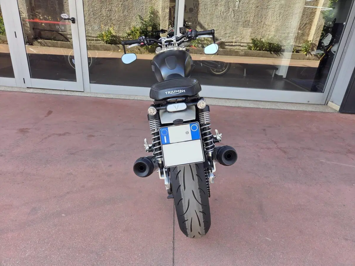 Triumph Speed Twin 1200 (2021 - 24) (14)