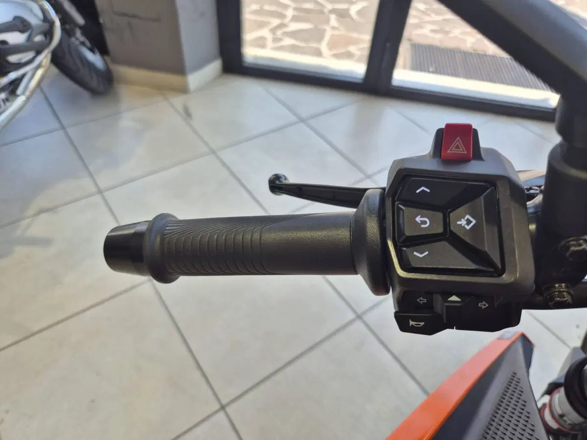 KTM 125 Duke (2024 - 25) (12)