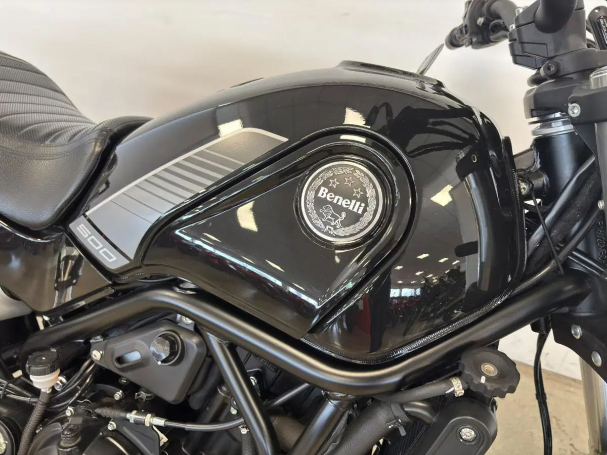 Benelli Leoncino 500 (2021 - 25) (3)