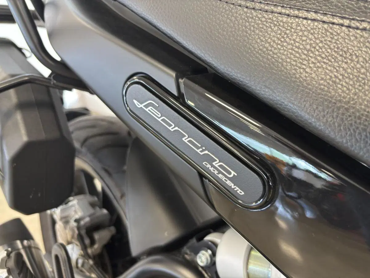 Benelli Leoncino 500 (2021 - 25) (7)