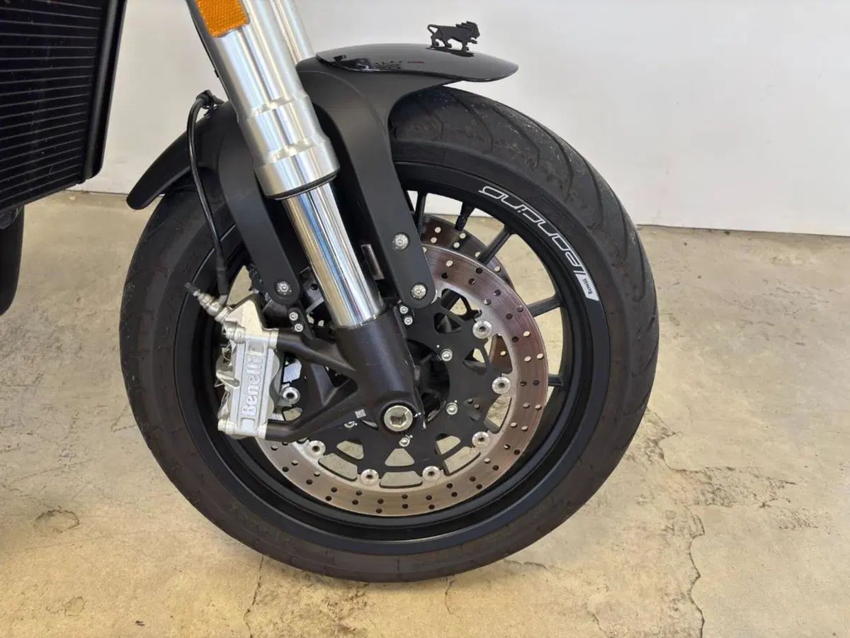 Benelli Leoncino 500 (2021 - 25) (4)