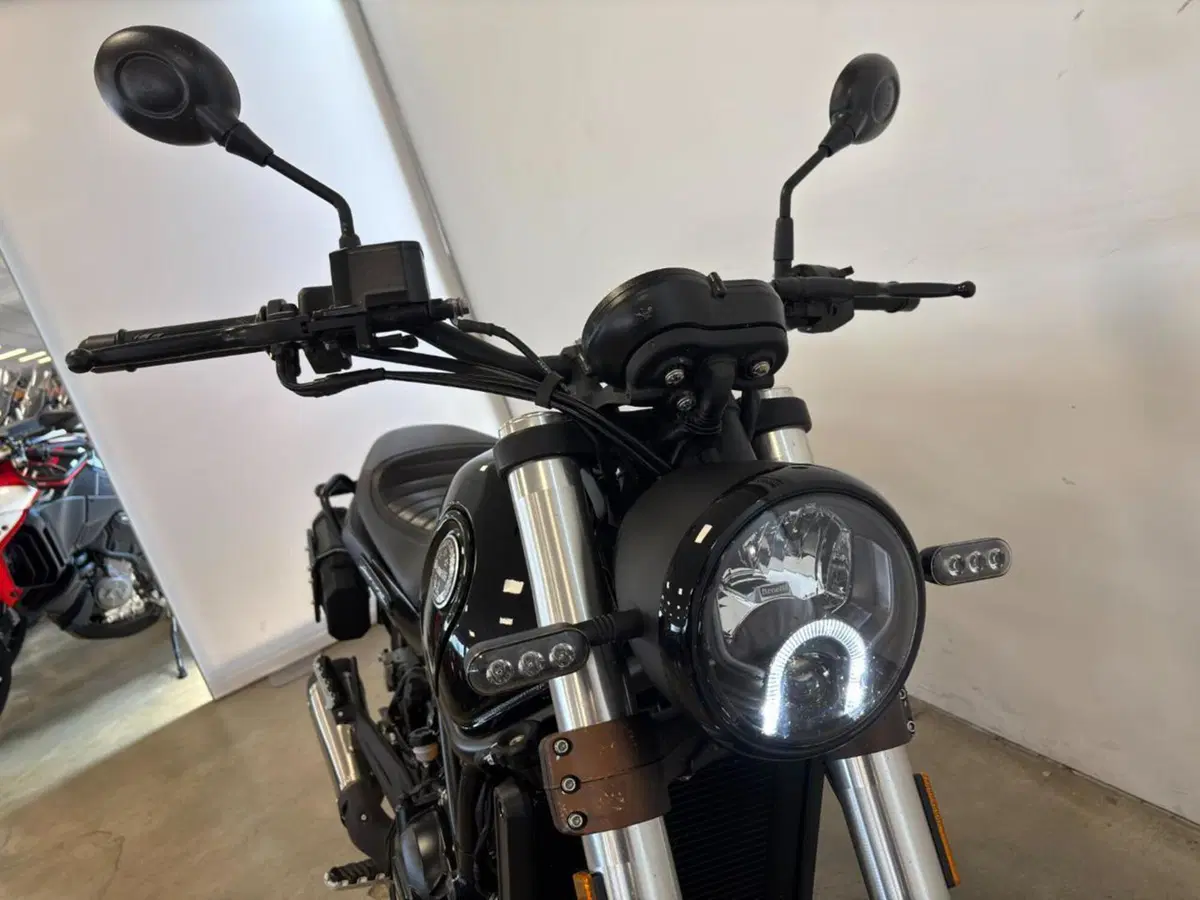 Benelli Leoncino 500 (2021 - 25) (8)