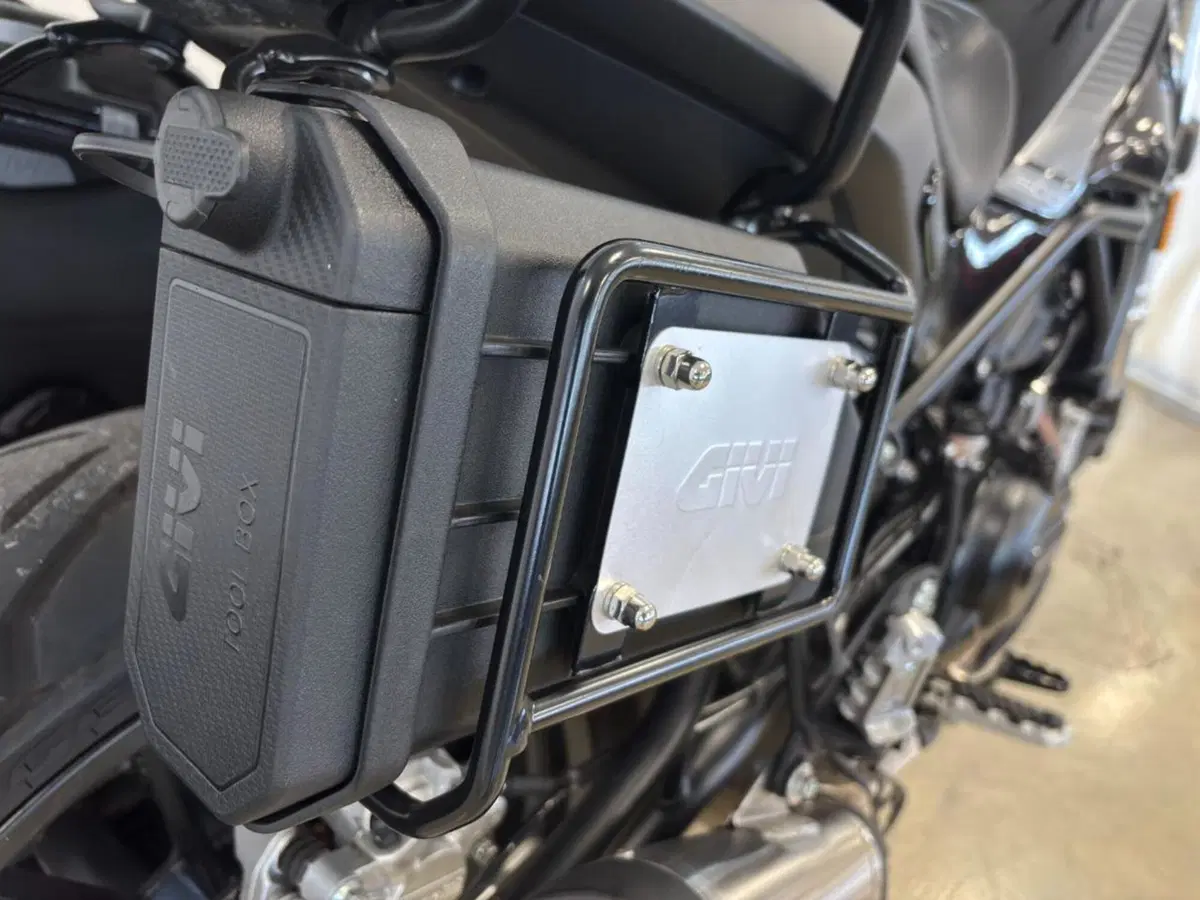 Benelli Leoncino 500 (2021 - 25) (6)