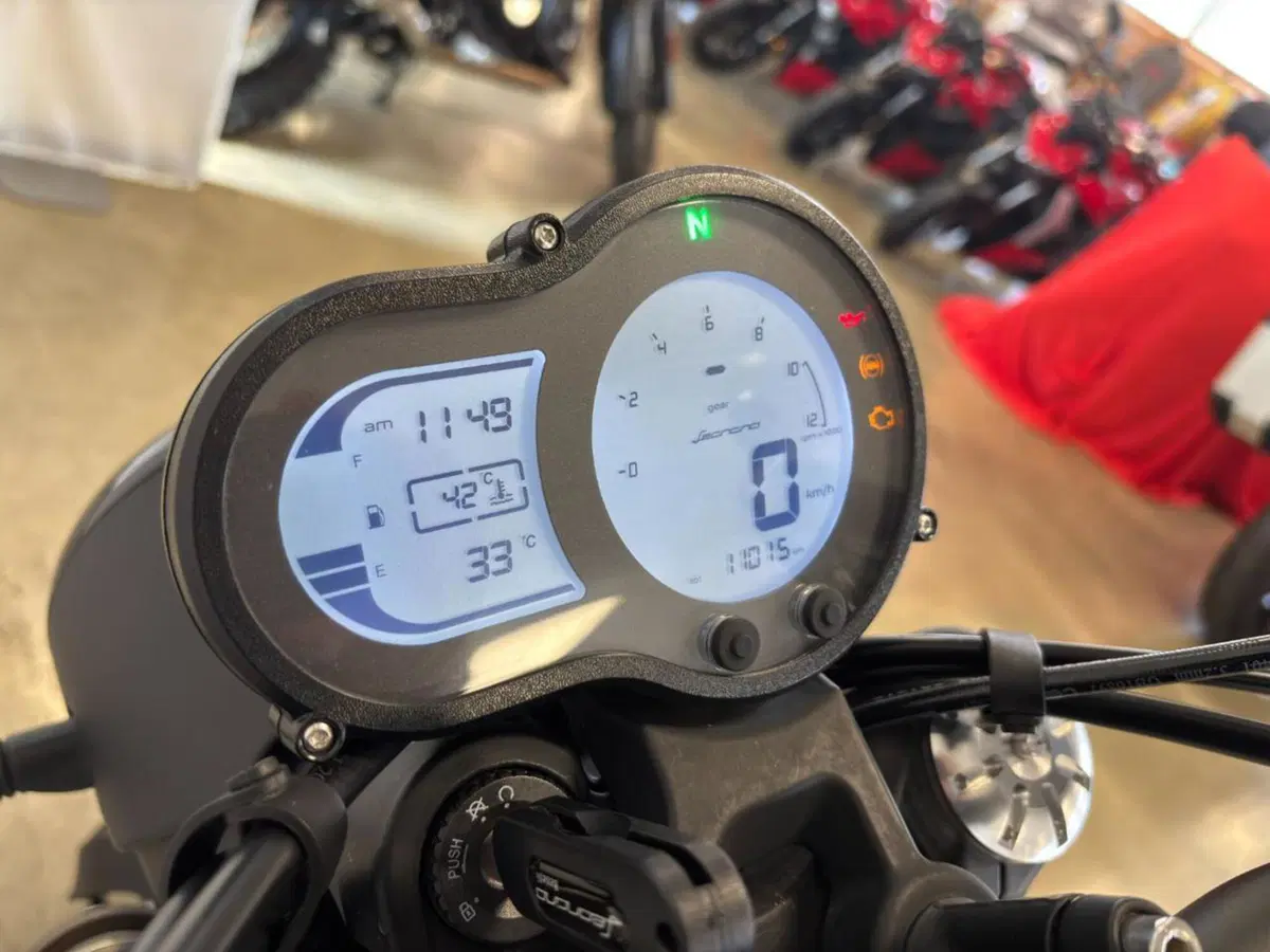 Benelli Leoncino 500 (2021 - 25) (13)