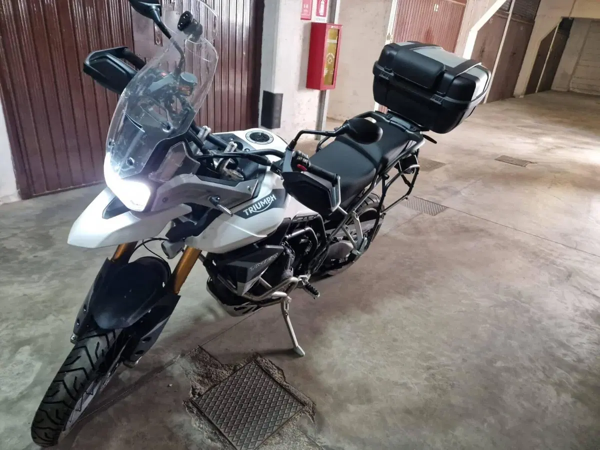 Triumph Tiger 900 Rally Pro (2020 - 23) (5)