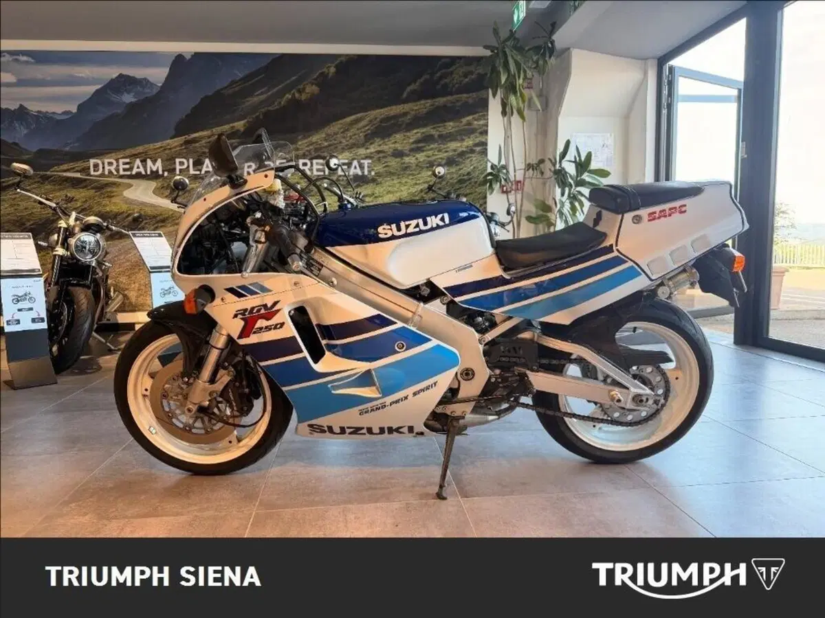 Suzuki RGV 250 (1989 - 97) (2)