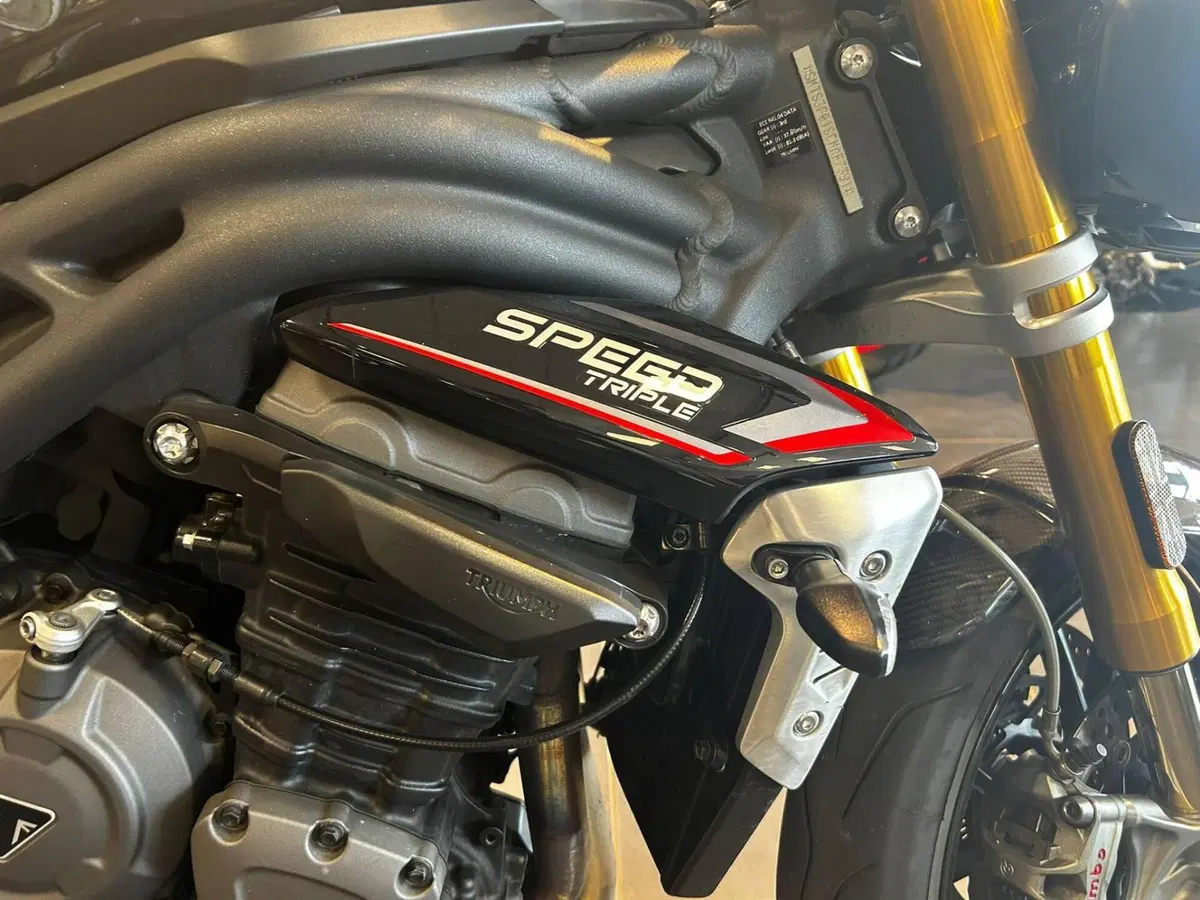Triumph Speed Triple 1200 RS (2021 - 24)
