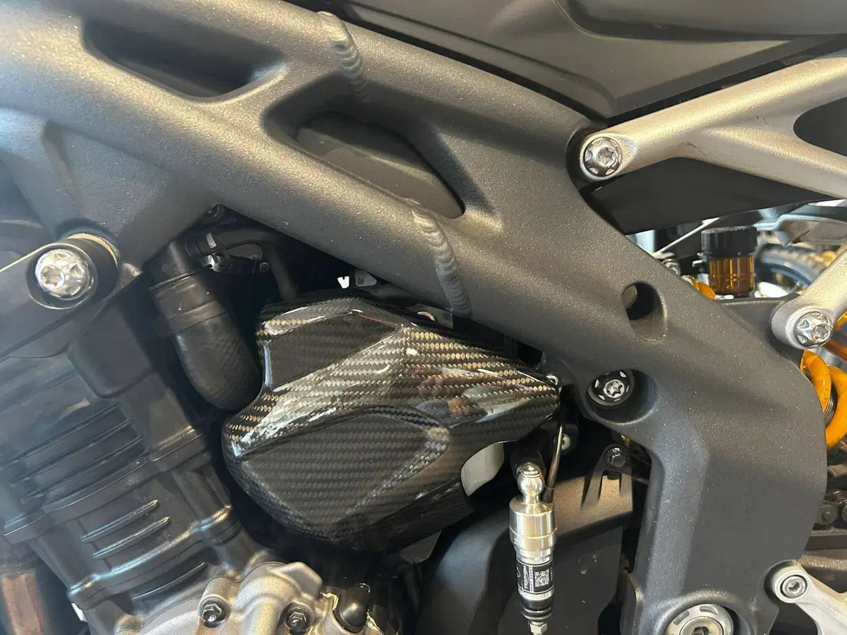 Triumph Speed Triple 1200 RS (2021 - 24) (11)