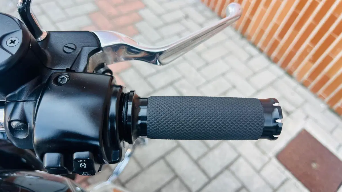 Harley-Davidson 1200 SuperLow (2014 - 16) - XL 1200T (17)