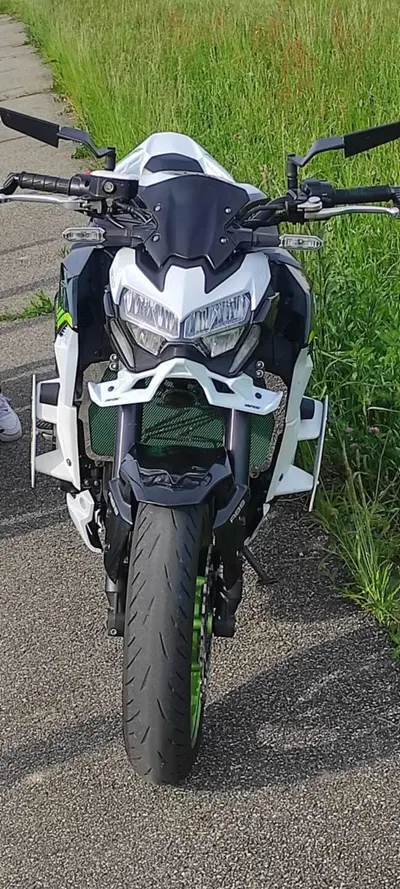 Kawasaki Z 900 (2021 - 24) usata