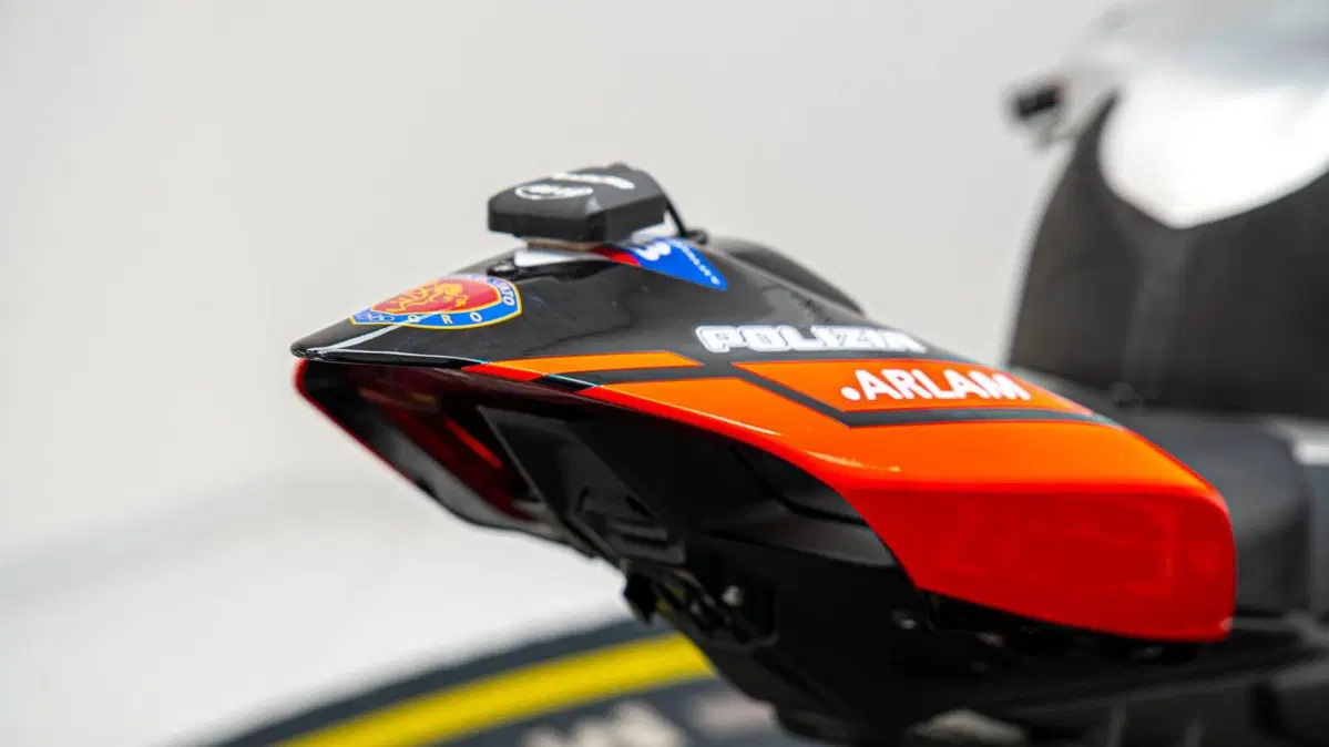 Ducati Panigale V4 R 1000 (2019 - 20) (19)