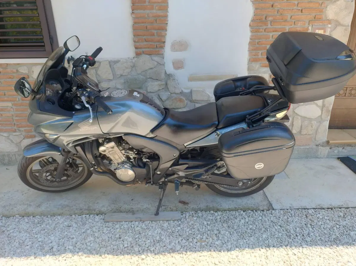 Honda CBF 600 S (2007 - 12) (6)