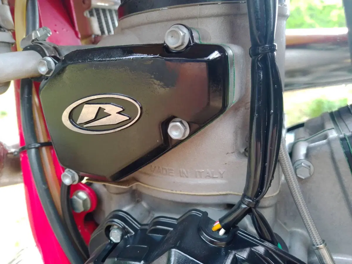 Betamotor RR 300 2T Enduro (2020) (3)