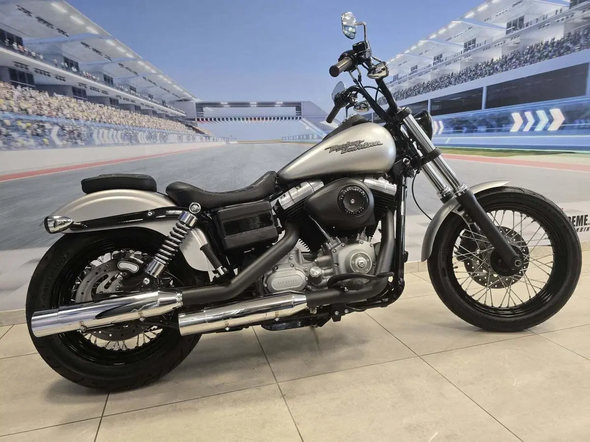 Harley-Davidson 1584 Street Bob (2008 - 15) - FXDB (15)