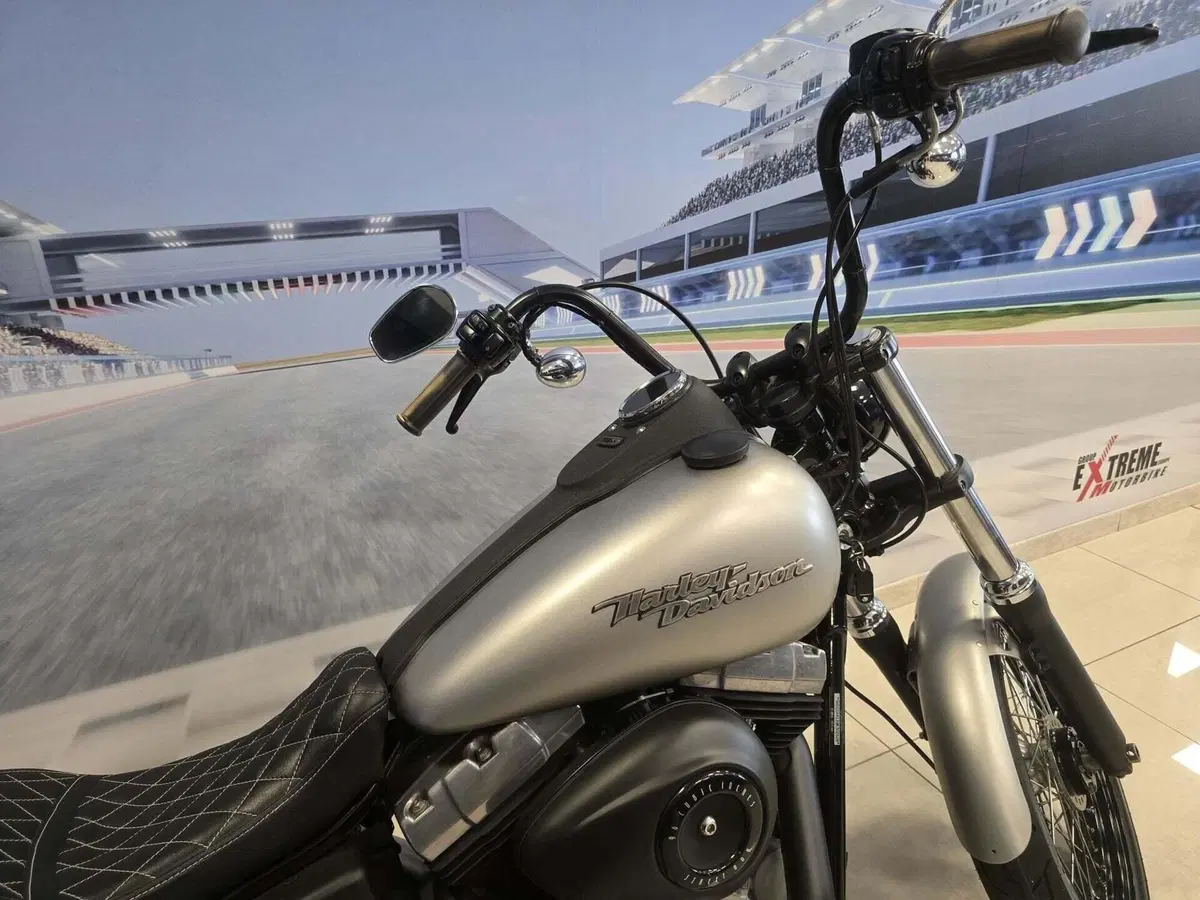Harley-Davidson 1584 Street Bob (2008 - 15) - FXDB (17)