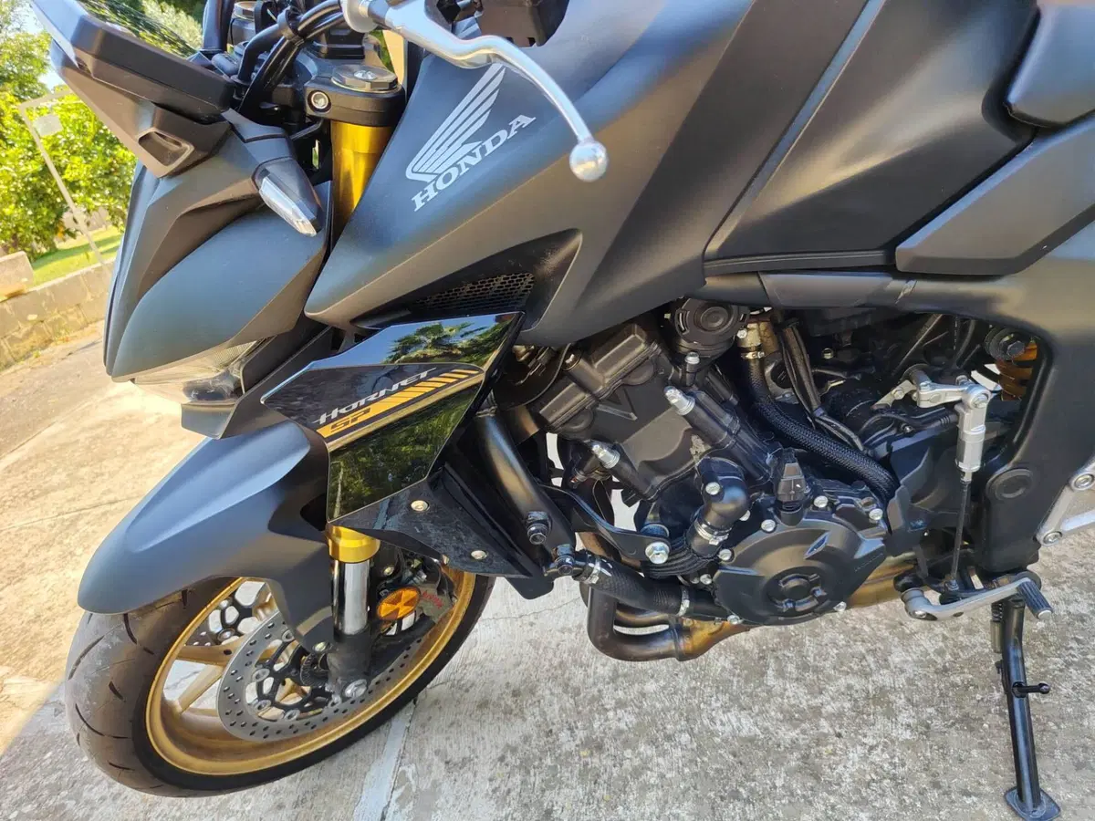 Honda CB 1000 Hornet SP (2025 - 26) (5)