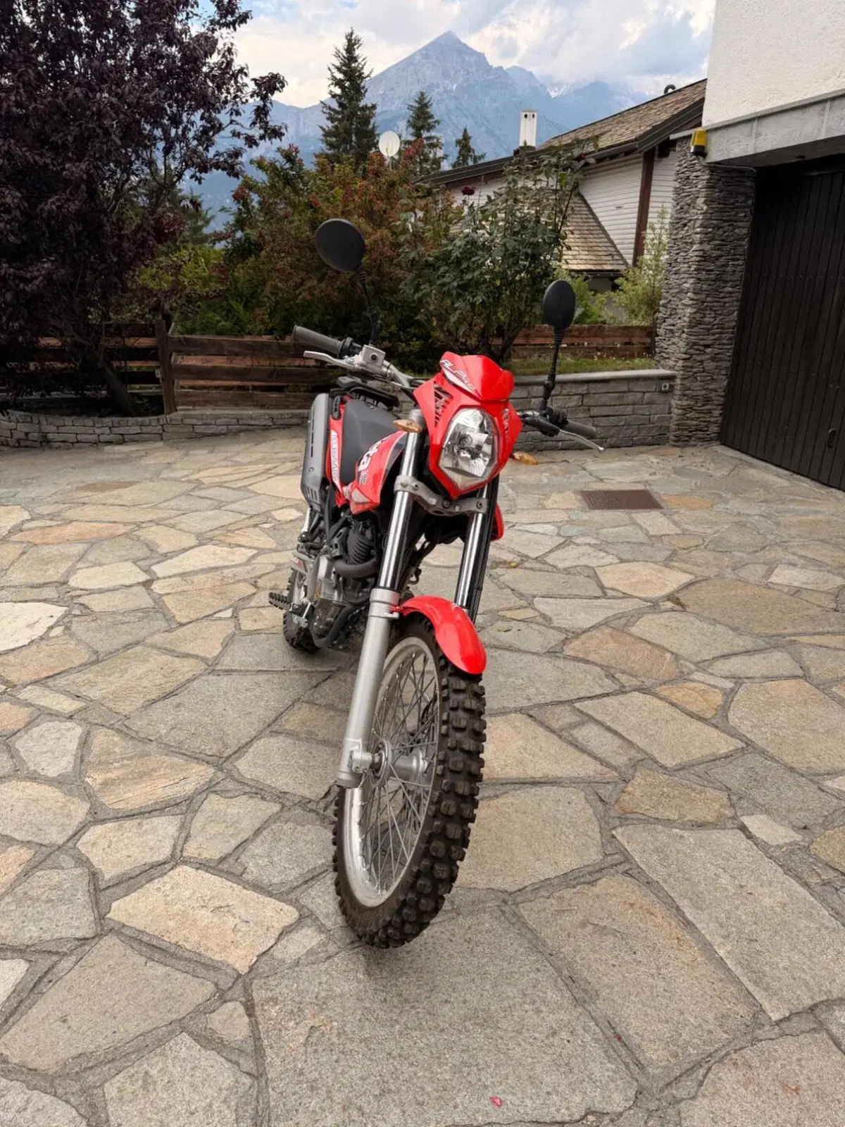 Betamotor Alp 4.0 (2008 - 17) (2)