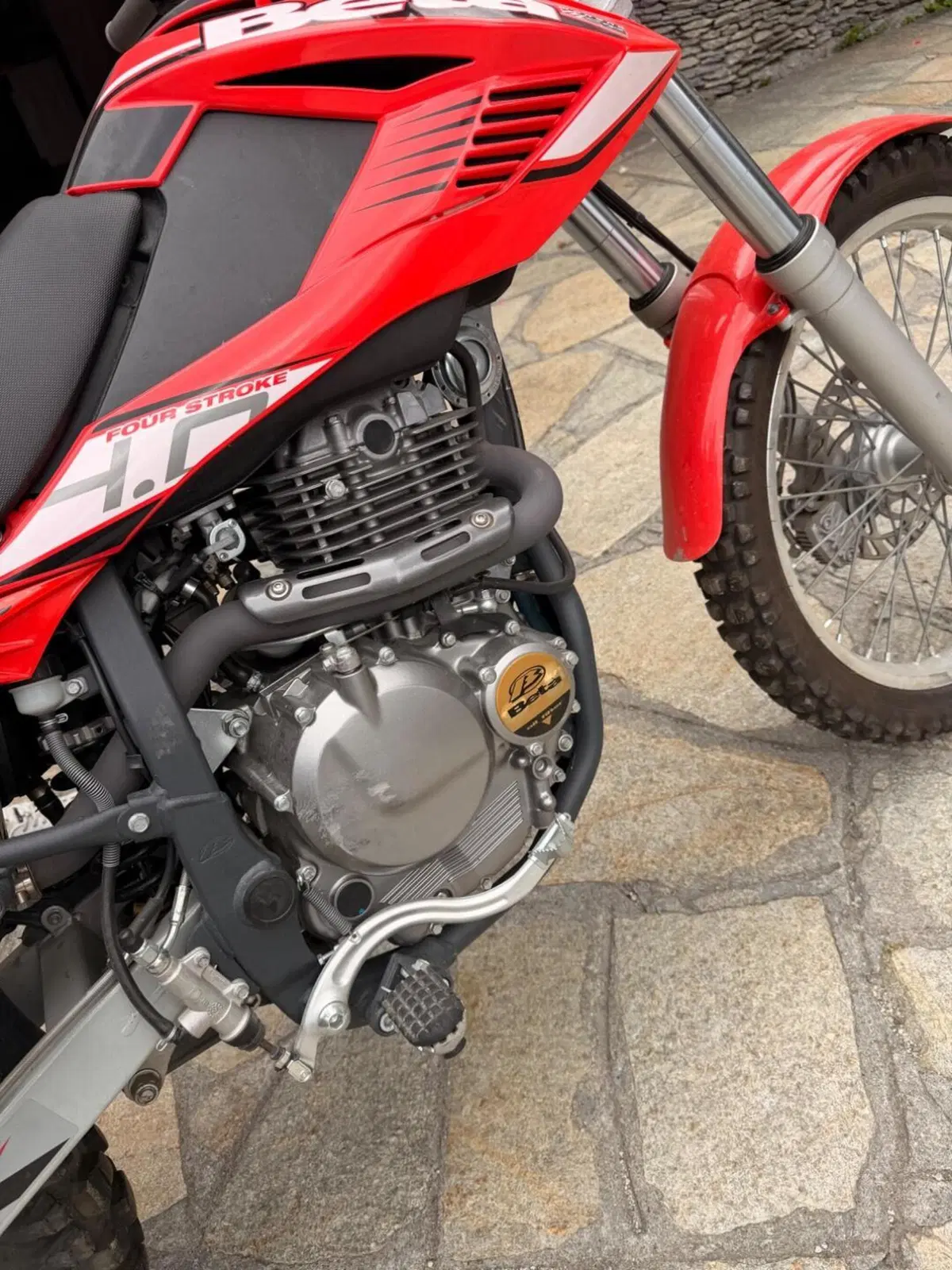 Betamotor Alp 4.0 (2008 - 17) (4)