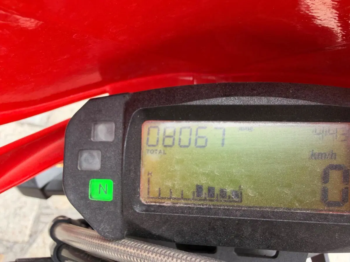 Betamotor Alp 4.0 (2008 - 17) (5)