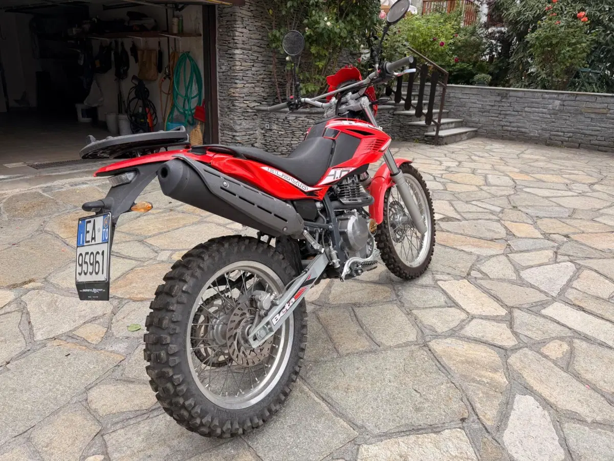 Betamotor Alp 4.0 (2008 - 17) (9)