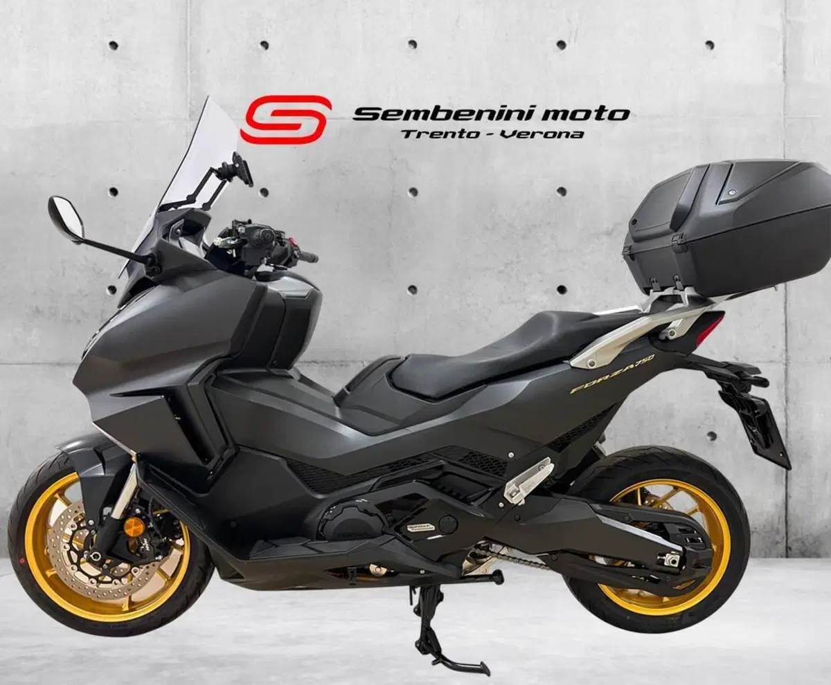 Honda Forza 750 DCT Urban (2021 - 24) (2)