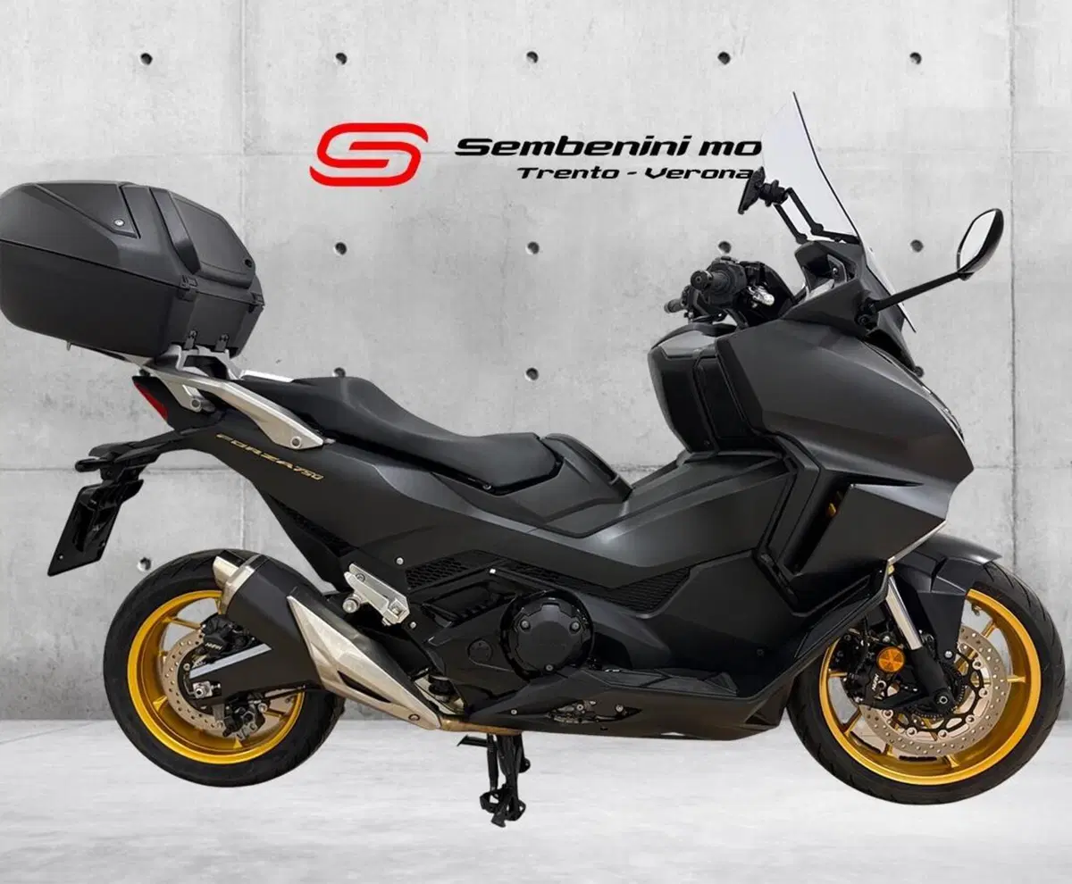 Honda Forza 750 DCT Urban (2021 - 24)