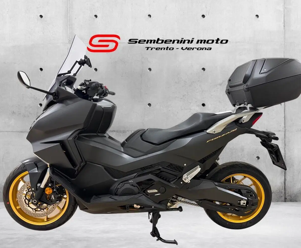 Honda Forza 750 DCT Urban (2021 - 24) (2)