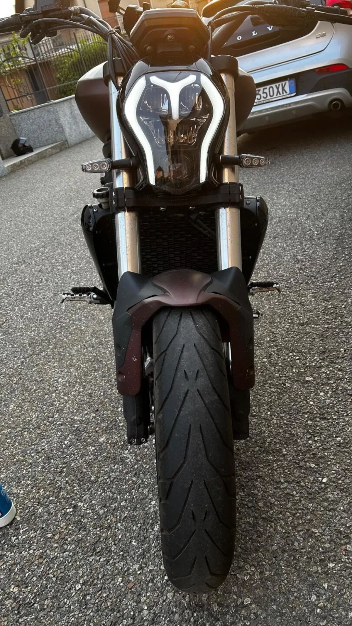 Benelli 502 C (2021 - 25) (6)