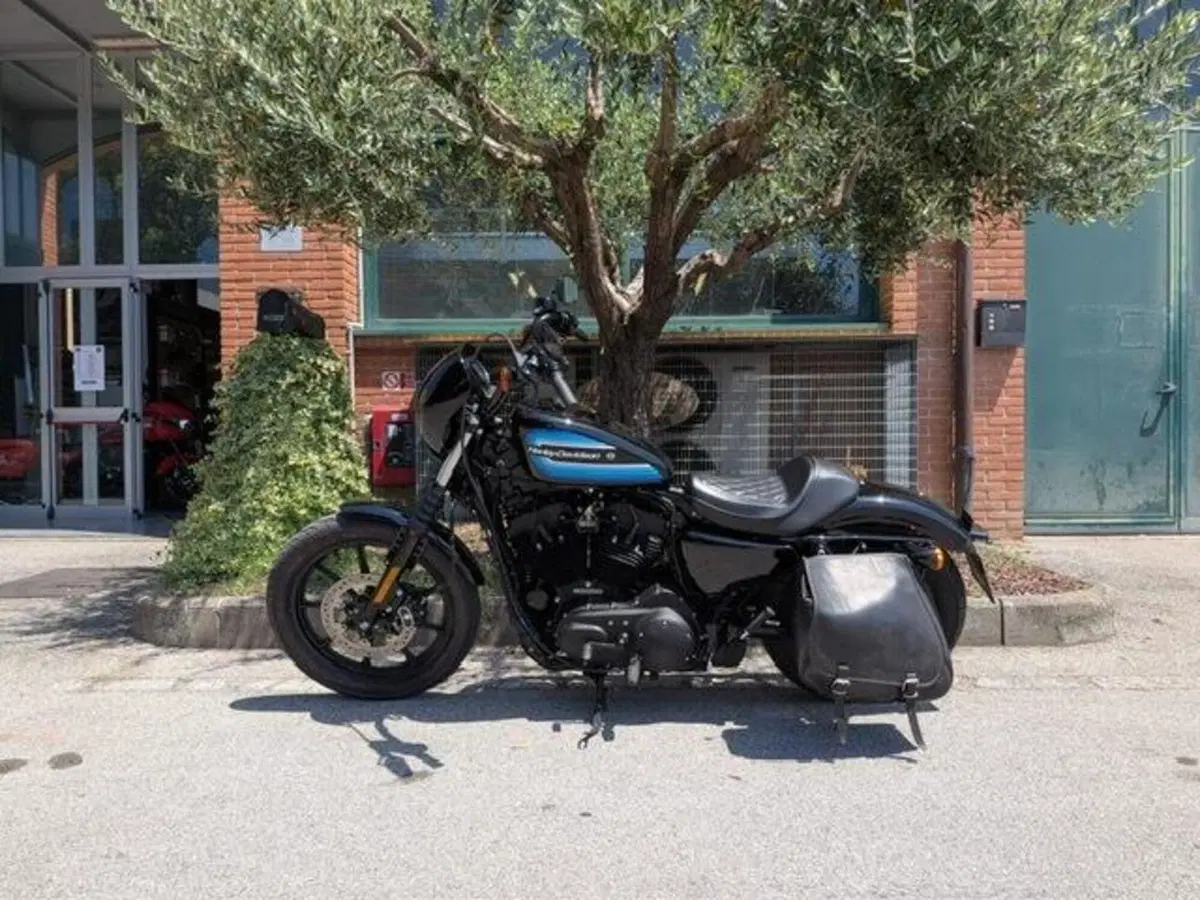 Harley-Davidson 1200 Iron (2018 - 20) - XL1200N (4)