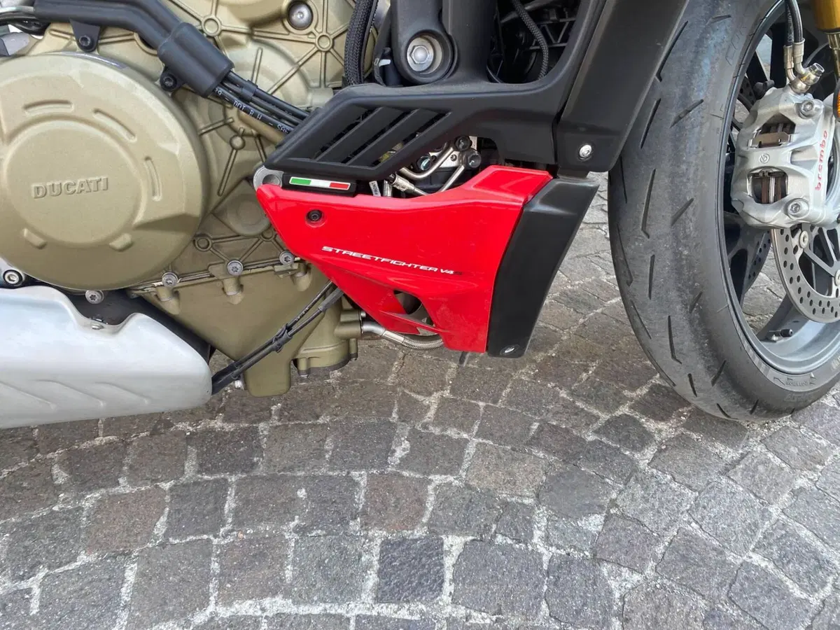 Ducati Streetfighter V4 1100 S (2020) (7)
