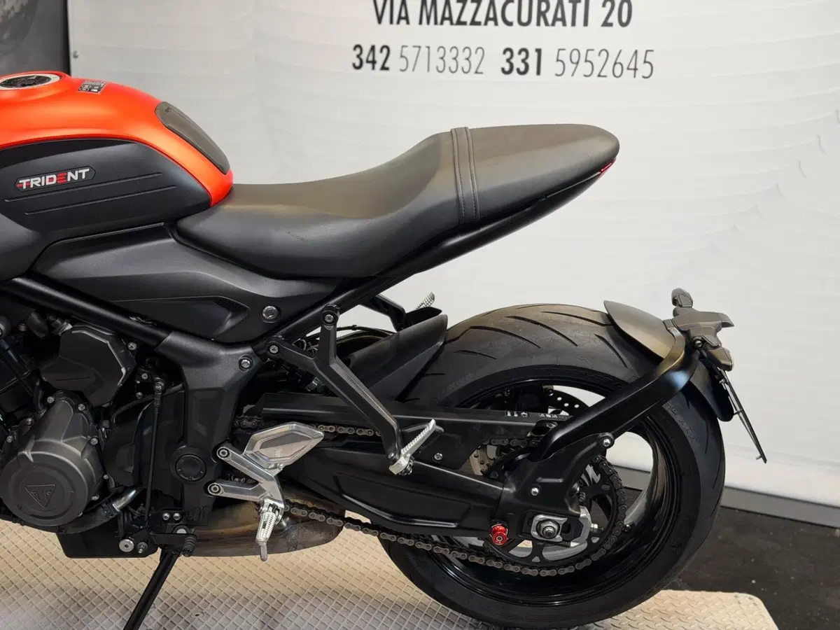 Triumph Trident 660 (2021 - 24) (8)