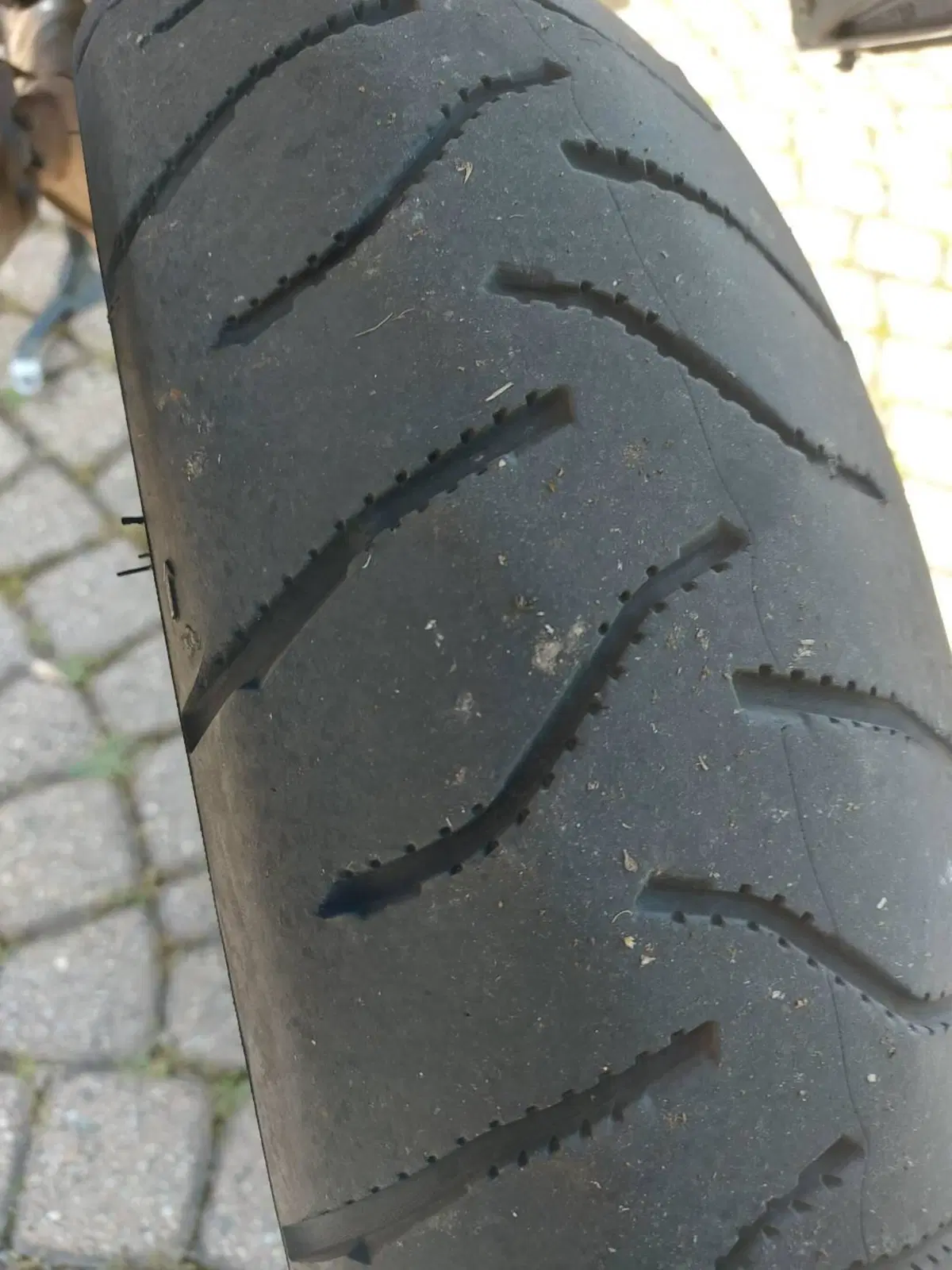 Bmw R 1150 GS (1999 - 03) (5)