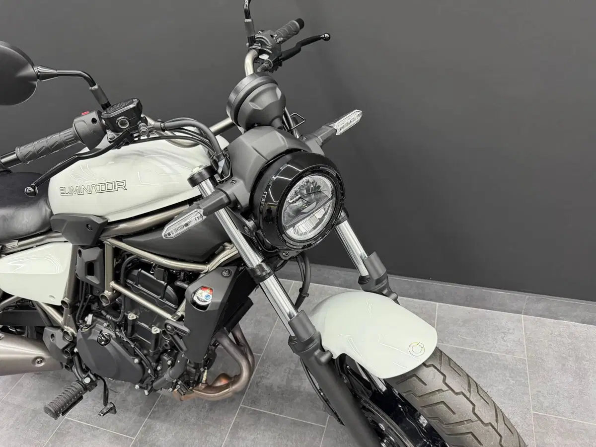 Kawasaki Eliminator 500 (2024 - 26) (3)