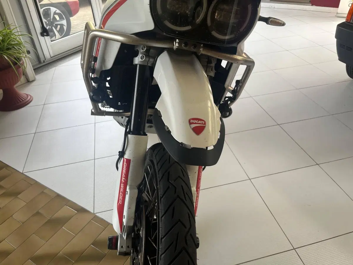 Ducati DesertX (2022 - 25) (4)