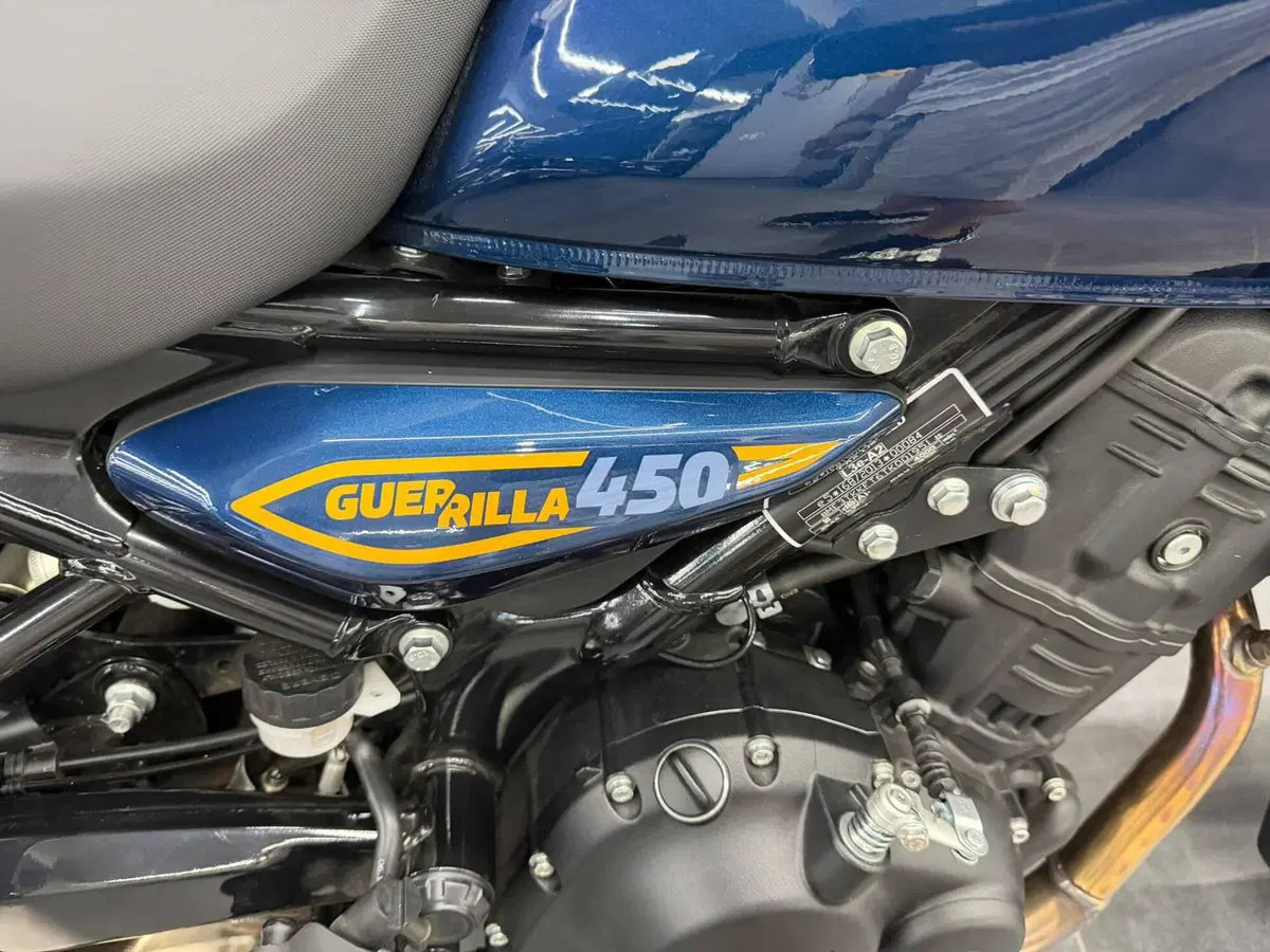 Royal Enfield Guerrilla 450 (2024 - 26) (2)