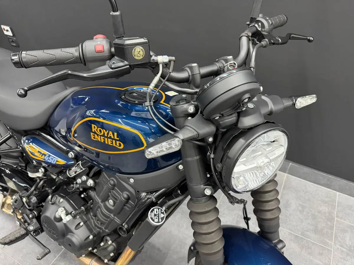 Royal Enfield Guerrilla 450 (2024 - 26) (3)