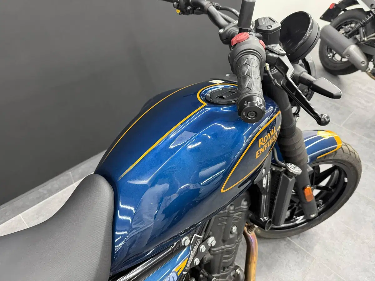 Royal Enfield Guerrilla 450 (2024 - 26) (6)