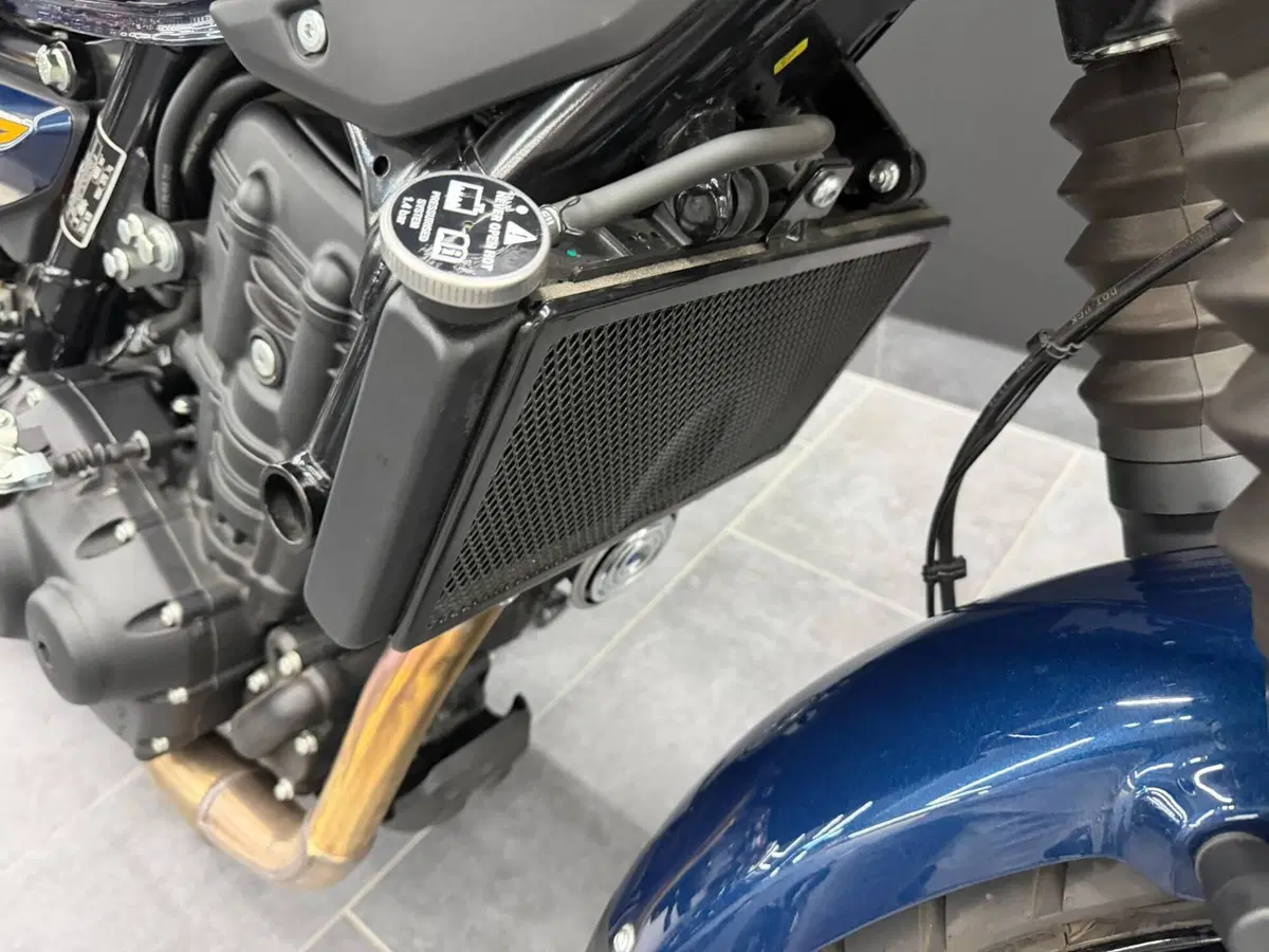 Royal Enfield Guerrilla 450 (2024 - 26) (8)